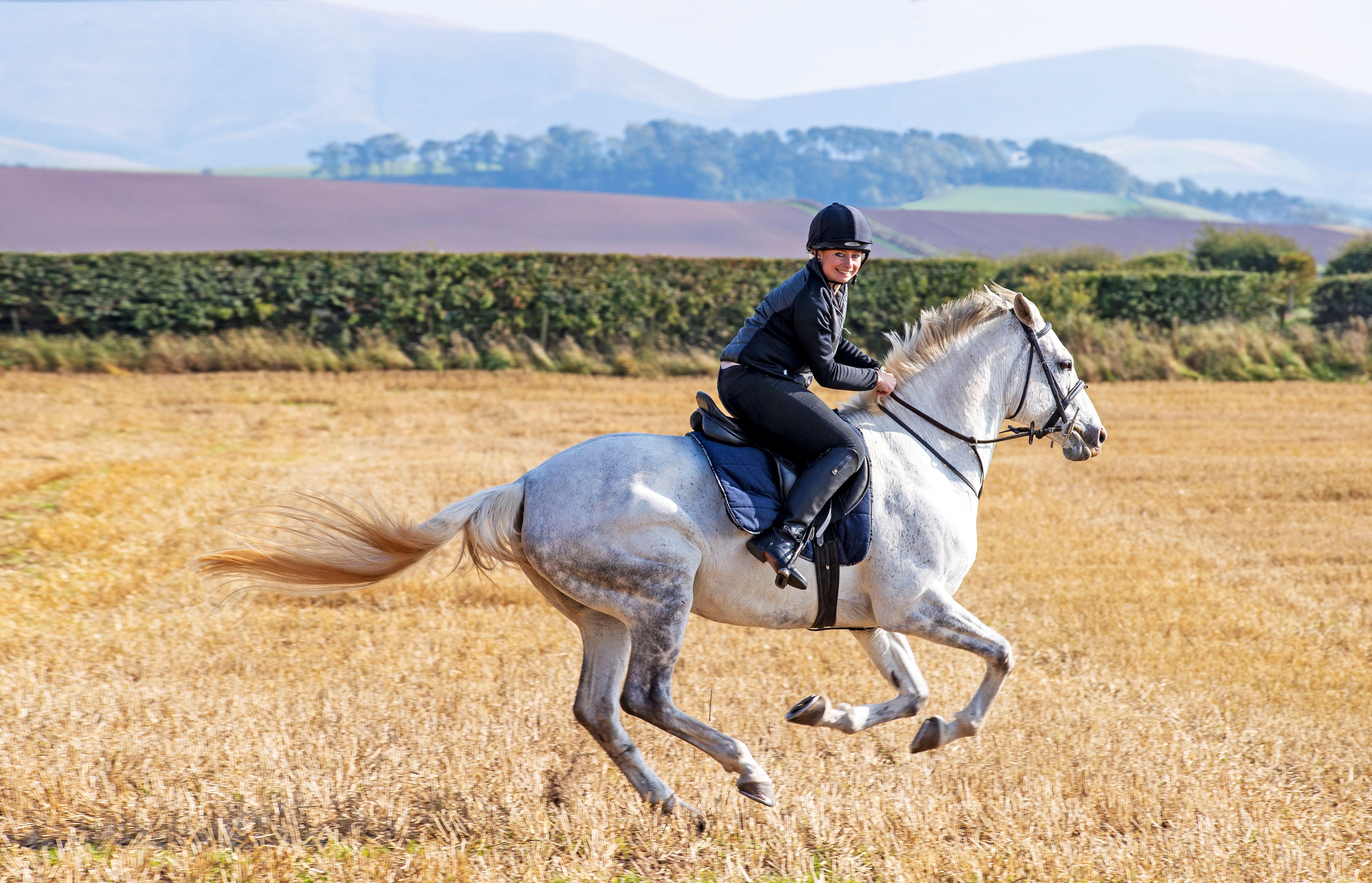 Schloss Roxburghe, Part Of Destination By Hyatt Exterior foto A rider on a purebred Spanish horse